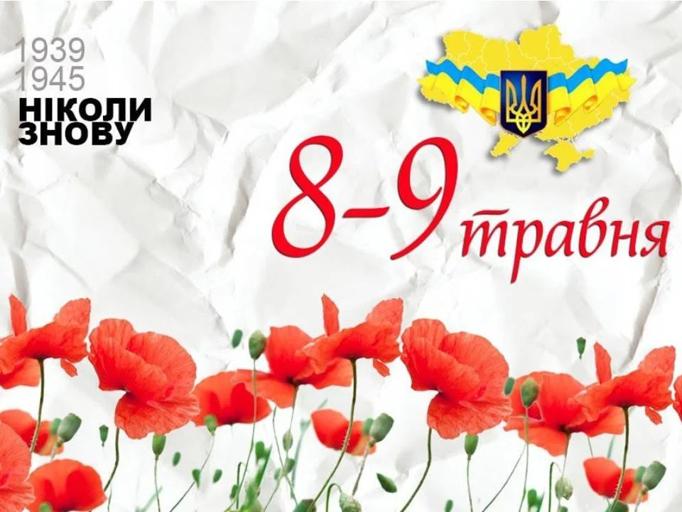 изображение 2025 05 08 110326689