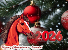 изображение 2026 01 02 170933645