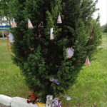 зображення 2026 06 11 094338416
