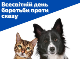 зображення 2026 10 05 143839272