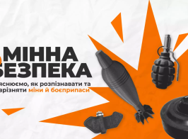 изображение 2025 05 07 210957260