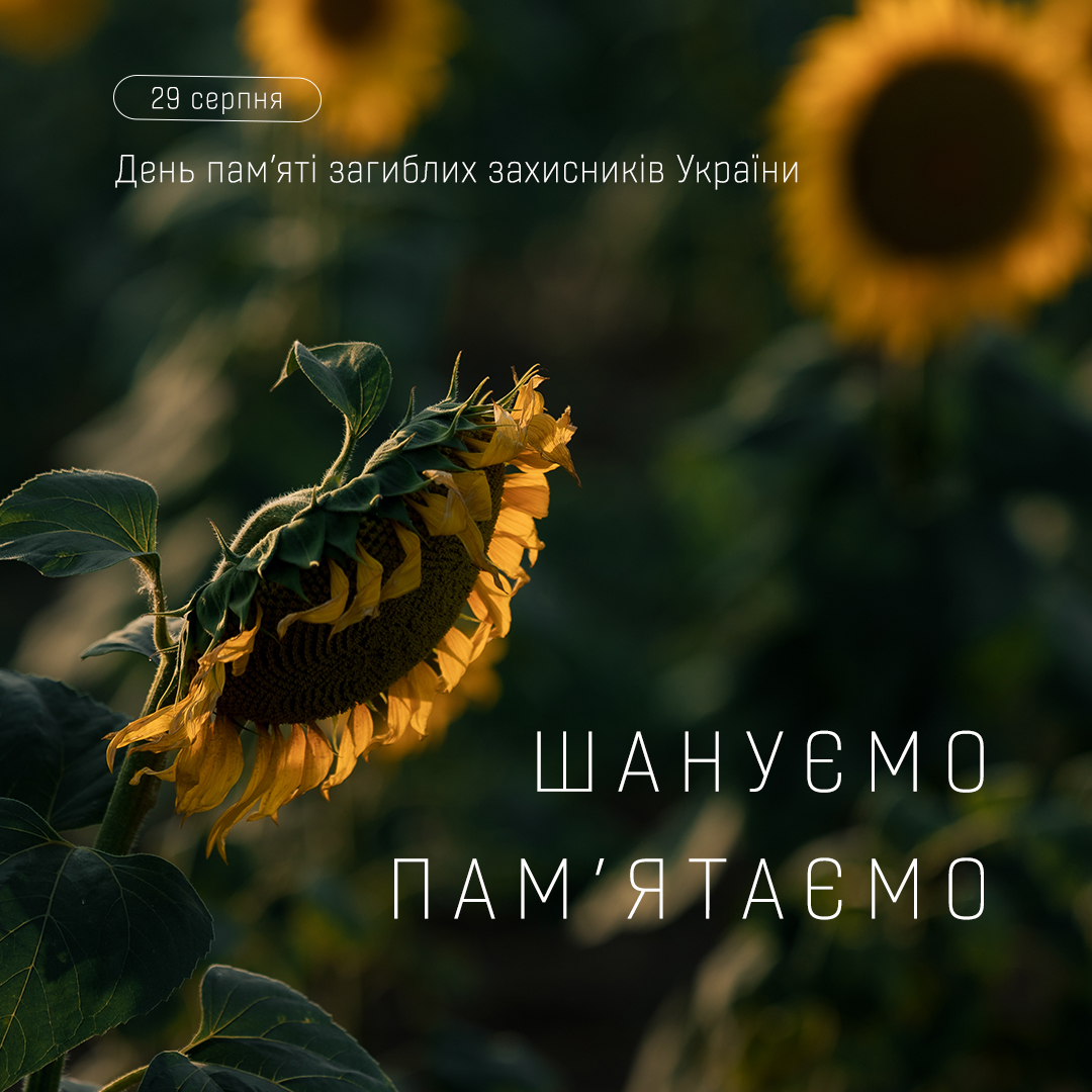 изображение 2025 08 29 113356904