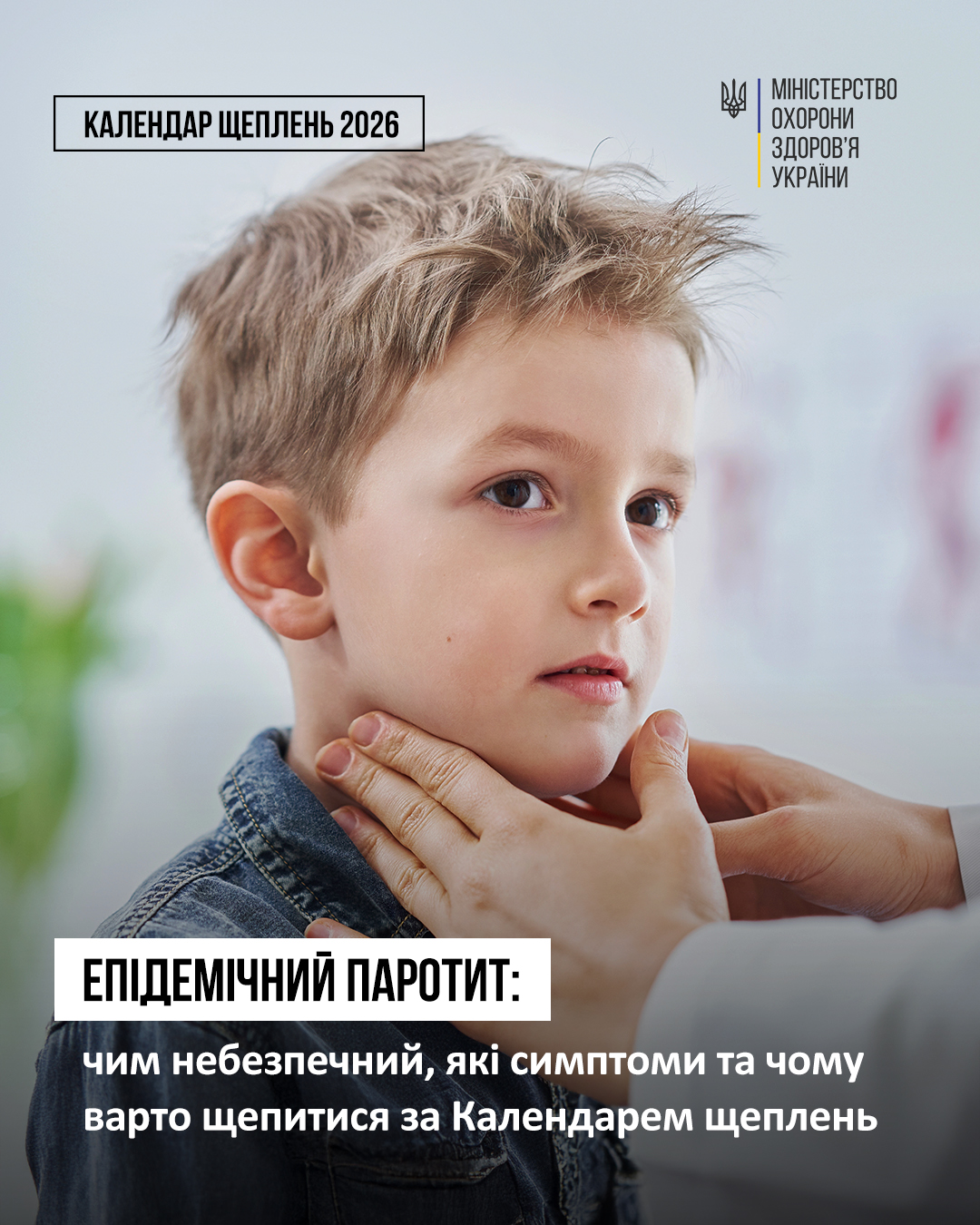 зображення 2026 02 26 124728466