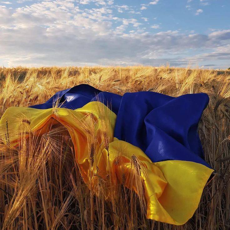 зображення 2026 08 23 085123417