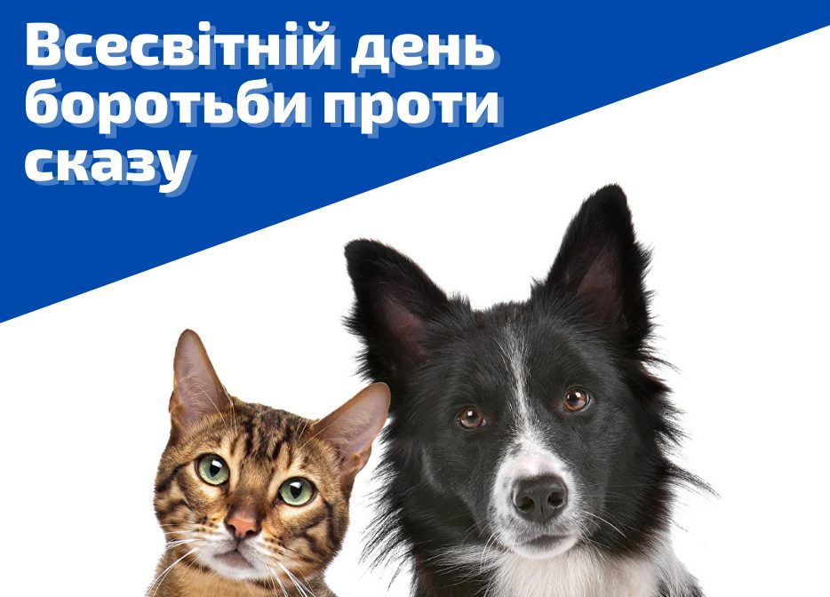 зображення 2026 10 05 143839272